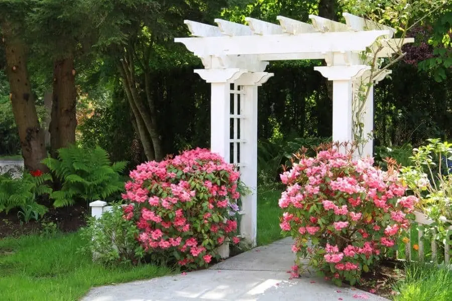 Custom trellised arbor framing stone walkway