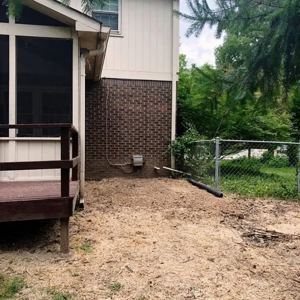 Directional hardwood felling and backyard tree care